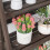 Plants Display Stand Solid Wood Storage Shelf 5