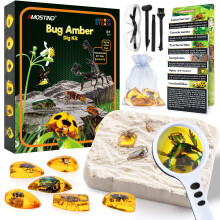 Amber Mega Fossil Dig Kit,Real Crystals Gemstone Fossil Science Kits for K