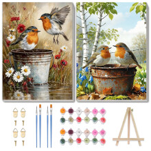 Yveszomi 2 Pack Birds Paint by Nnumbers for Adults with Frame 8x12in