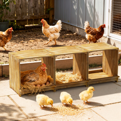 Bingopaw 105x30x36cm Chicken Nesting Boxes 3-Compartments 2