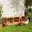 Bingopaw 105x30x36cm Chicken Nesting Boxes 3-Compartments 5