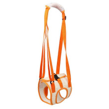 Ceinture de laisse postopératoire pour chien âgé handicapé, patte arrière, taille M