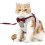 British Cat Leash Jacket Set with Adjustable Leash and Cute Collar 1