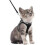 Adjustable Black Cat Harness Vest with Leash Reflective Strips Breathable Easy Put On Kitten 1