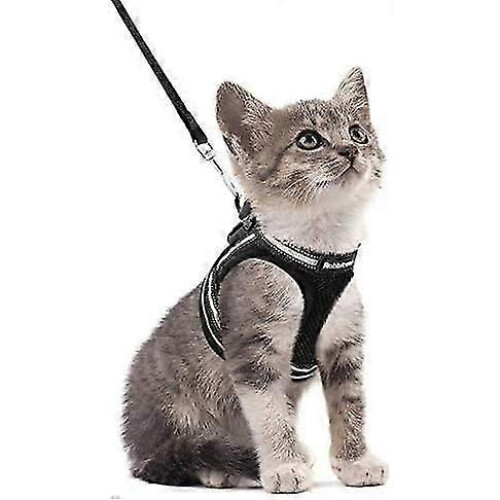 Adjustable Black Cat Harness Vest with Leash Reflective Strips Breathable Easy Put On Kitten