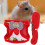 Rabbit Harness Set Small Strawberry Pattern with Outdoor Chest Strap Vest & Leash (M) 4