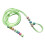 Small Pet Reptile Lizard Harness No Pull Comfort Walking Outdoor Green 1