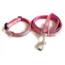 Niedliches Hundehalsband- und Leinen-Set mit rosa Knochenmuster zum Spazierengehen
