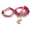 Cute Dog Collar and Leash Set with Pink Bones Pattern for Walking 1