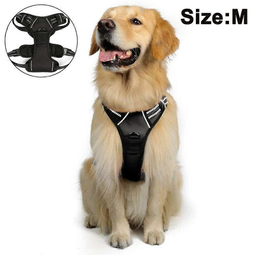 No-Pull Dog Harness with 1 Leash Clip Adjustable Soft Padded Vest Black M