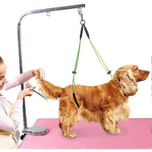 Harnais de laisse réglable pour chiens de petite et moyenne taille, avec support de cou et de hanche, LoopClamp, sans bras (Jaune+)