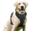Training or Walking No-Pull Padded Adjustable Pet Vest Harness for Large Dogs 1
