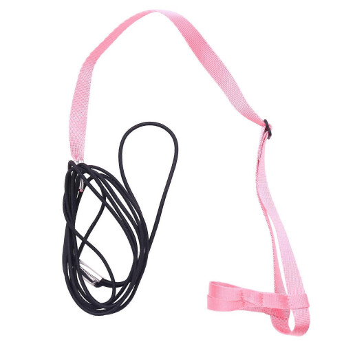 2-Pack Pet Adjustable Bird Harness & Leash for Parrots - Anti-Bite Training Rope (P) 1