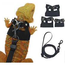 Adjustable Bearded Dragon Harness & Leash Set for Squirrels Hamsters Outdoor Pet Gear