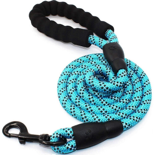 Rugged Dog Training Leash with Padded Handle and Reflective Seams