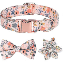 Rose Gold Buckle Cat Dog Collar & Detachable Bow Tie 3 Styles Floral Design Med-Large Pets