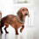 Strong Nylon Dog Obedience Training Strap 1Pcs Rope 2