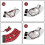 British Cat Leash Jacket Set with Adjustable Leash and Cute Collar 5