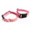 Cute Dog Collar and Leash Set with Pink Bones Pattern for Walking 4
