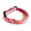 Cute Dog Collar and Leash Set with Pink Bones Pattern for Walking 5