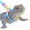 Small Pet Reptile Lizard Harness No Pull Comfort Walking Outdoor Green 2