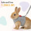 Bunny Small Pet Harness Leash Set Escape-Proof Adjustable Soft Breathable Mesh Vest 4