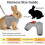 Bunny Small Pet Harness Leash Set Escape-Proof Adjustable Soft Breathable Mesh Vest 3