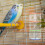 Mangeoire suspendue en acrylique pour perroquets 5