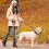 Adjustable Reflective Dog Collar with Neoprene Padding and Leash for Small Large Dogs 5