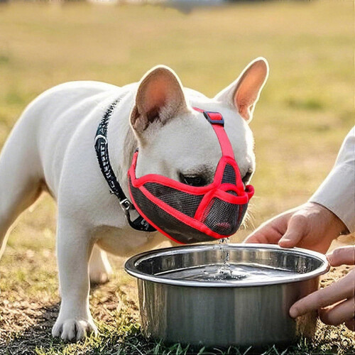 Large Dog Breathable Mesh Muzzle with Adjustable Nylon Strap Comfortable Mouth Guard 2