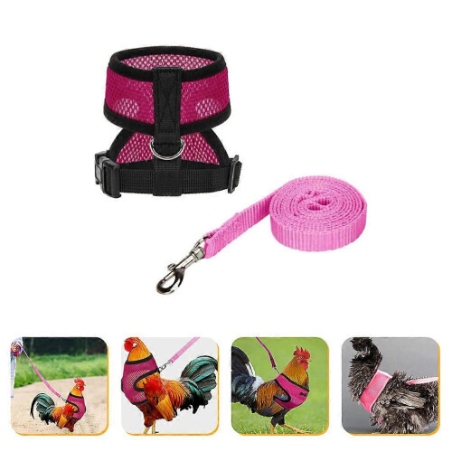 Comfortable Chicken Training Harness with Leash and Hen Vest Set 2
