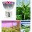 (E14)Full Spectrum 28leds Grow Light Uv E27 Gu10 E14 Growing Lamp Hydroponics Plant 9
