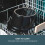 Cooks Professional Cooks Professional 8L Digital Slow Cooker 5
