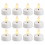 Smart Garden Products 12 Pack Flameless LED Tealight Candles 9