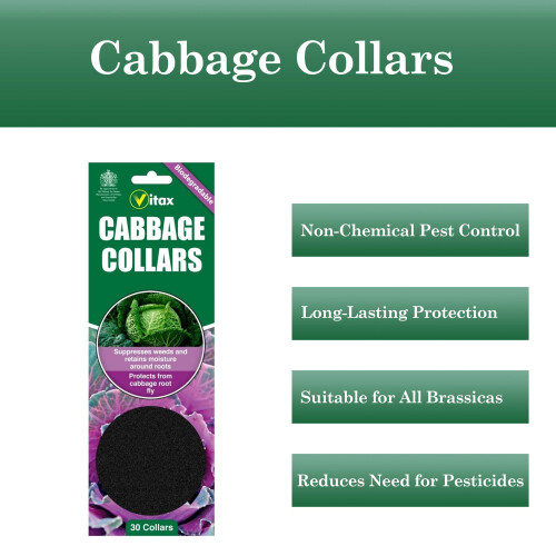 Vitax Vitax Cabbage Collars Root Fly Protection 30 Pack 1