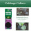 Vitax Vitax Cabbage Collars Root Fly Protection 30 Pack 4