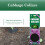 Vitax Vitax Cabbage Collars Root Fly Protection 30 Pack 5