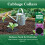 Vitax Vitax Cabbage Collars Root Fly Protection 30 Pack 6