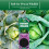 Vitax Vitax Cabbage Collars Root Fly Protection 30 Pack 7
