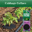 Vitax Vitax Cabbage Collars Root Fly Protection 30 Pack 8