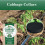 Vitax Vitax Cabbage Collars Root Fly Protection 30 Pack 9