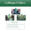 Vitax Vitax Cabbage Collars Root Fly Protection 30 Pack 10