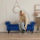 (Blue) TLGREEN Ottoman Storage Padded Bench 1