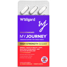 Wellgard My Journey – MJ Multivitamin for Energy, Muscles, Hair, Electrolyte Balance and Sulphur Metabolism, 60 Capsules