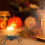 Plastic Toy Spider Halloween Decoration for Halloween Use 6Pcs Set 5