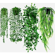 Lot de 4 plantes artificielles suspendues avec pots, fausses plantes grimpantes pour la maison, les murs, les étagères, la salle de bain et