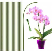 20 Pack 44.5 cm Plant Support Stakes, Flexible Green Plastic and Metal Orchid Sticks for Indoor Outdoor Plants