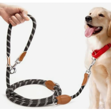 Verstelbare hondentrainingslijn van 3 meter voor middelgrote en grote honden, reflecterende, handsfree nylon lijn met 2 karabijnhaken.