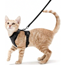 Escape Proof Cat Harness with Leash, Adjustable Kitten Walking Vest, Size S, Black, Soft Outdoor Lead