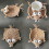 Handmade Crochet Animal Coaster Heat Resistant Table Mat 2